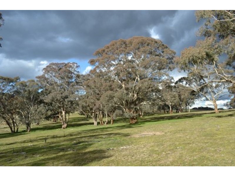 227 Emu Swamp Road, Lucknow NSW 2800