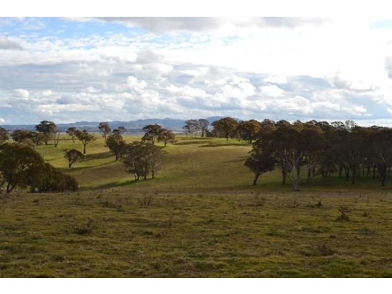 227 Emu Swamp Road, Lucknow NSW 2800