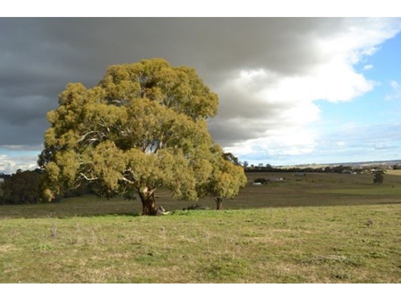 227 Emu Swamp Road, Lucknow NSW 2800