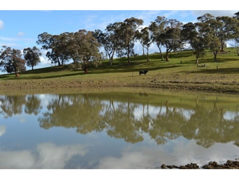 227 Emu Swamp Road, Lucknow NSW 2800