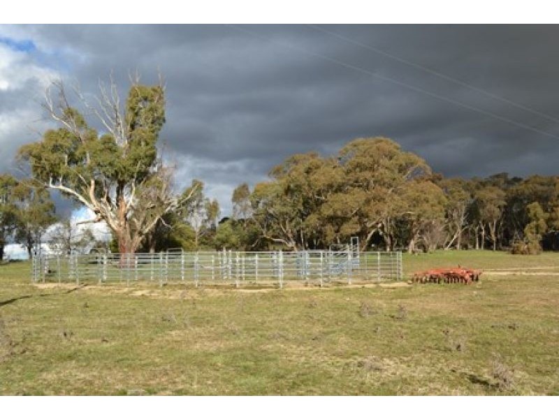 227 Emu Swamp Road, Lucknow NSW 2800