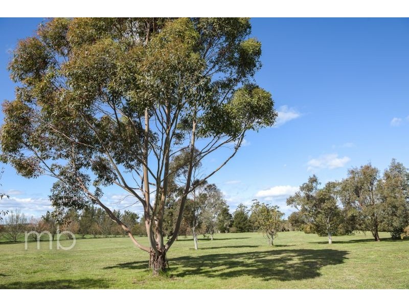 37 Witton Place, Orange NSW 2800