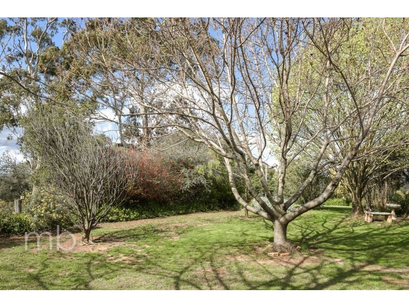 37 Witton Place, Orange NSW 2800