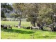 Innisleigh 1108 Reedy Creek Road, Mandagery, Mandagery NSW 2870