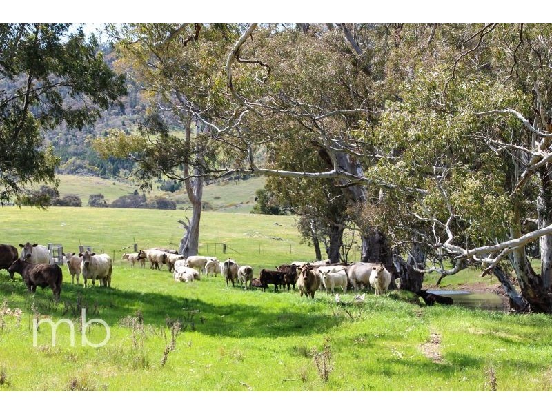 Innisleigh 1108 Reedy Creek Road, Mandagery, Mandagery NSW 2870