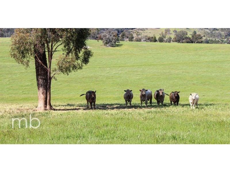 Innisleigh 1108 Reedy Creek Road, Mandagery, Mandagery NSW 2870