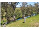 Innisleigh 1108 Reedy Creek Road, Mandagery, Mandagery NSW 2870