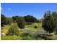 11 Briens Way, Orange NSW 2800