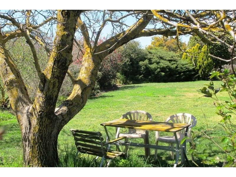 269 Forest Reefs Road, Forest Reefs NSW 2798