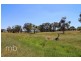 253 Mandurama Road, Mandurama NSW 2792