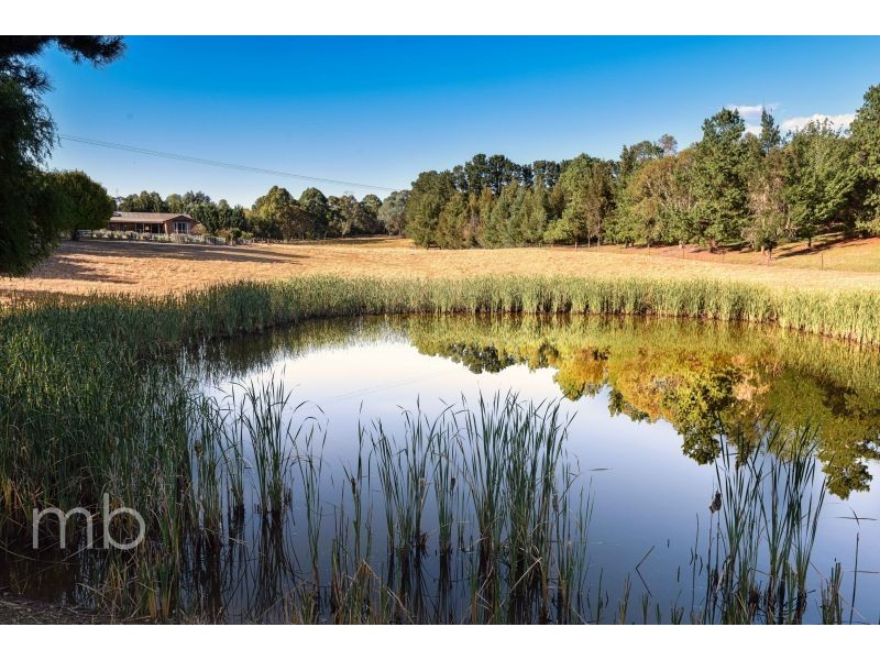 45 Murphy Lane, Orange NSW 2800