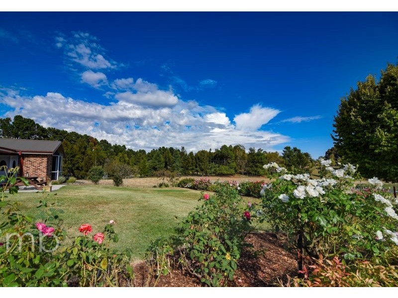 45 Murphy Lane, Orange NSW 2800