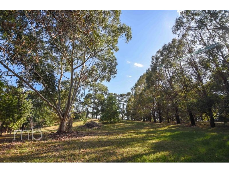 45 Murphy Lane, Orange NSW 2800