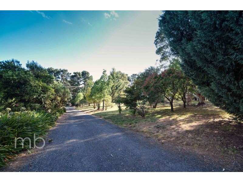 45 Murphy Lane, Orange NSW 2800