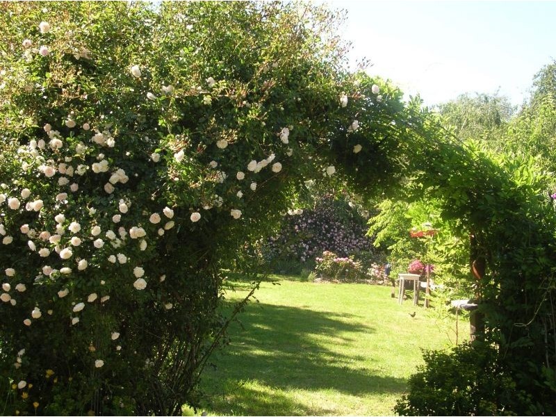 9 Elliot Street, Millthorpe NSW 2798