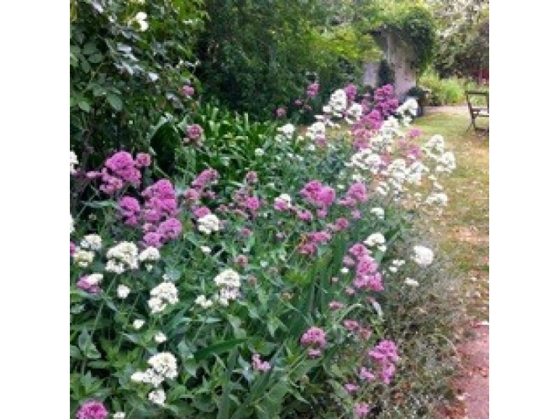 9 Elliot Street, Millthorpe NSW 2798