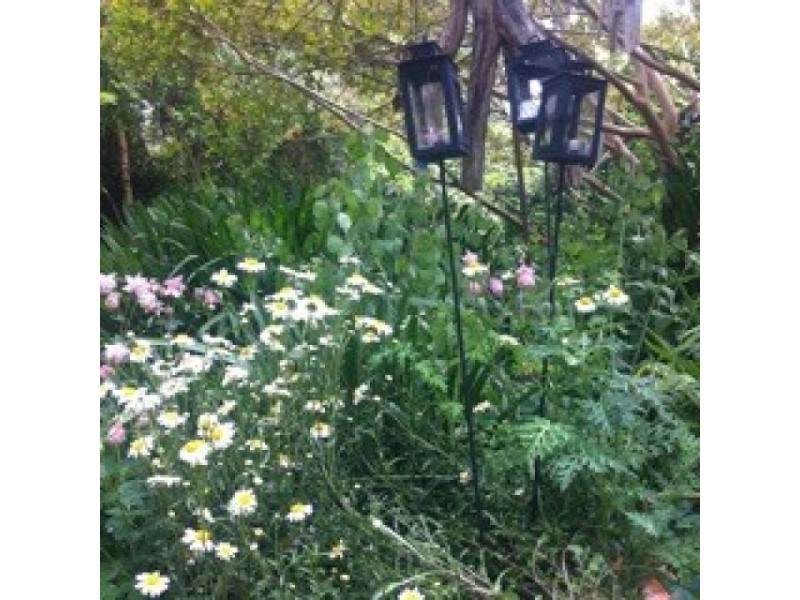 9 Elliot Street, Millthorpe NSW 2798