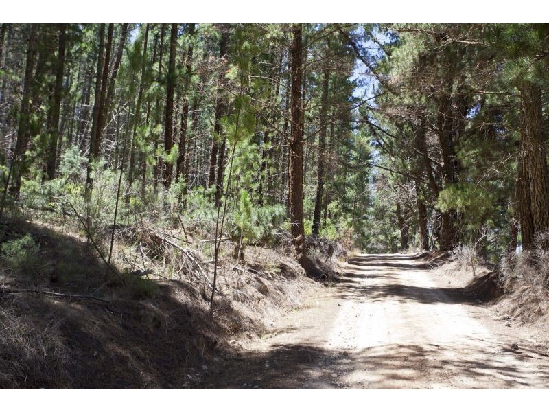 38 Mount Mehan Road, Mullion Creek NSW 2800
