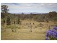 38 Mount Mehan Road, Mullion Creek NSW 2800