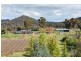 341 Nancarrow Lane, Orange NSW 2800