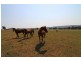 2605 Escort Way, Orange NSW 2800