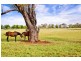 Eagle Park Stud’ 64 Bulls Lane, Springside via, Orange NSW 2800