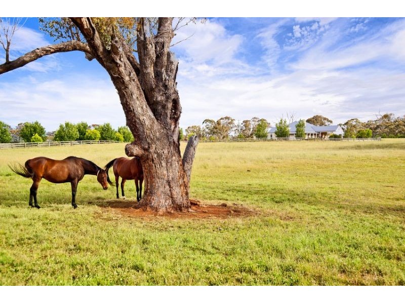 Eagle Park Stud’ 64 Bulls Lane, Springside via, Orange NSW 2800