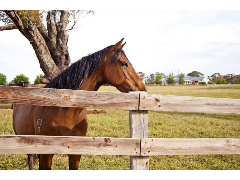 Eagle Park Stud’ 64 Bulls Lane, Springside via, Orange NSW 2800