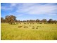 Eagle Park Stud’ 64 Bulls Lane, Springside via, Orange NSW 2800