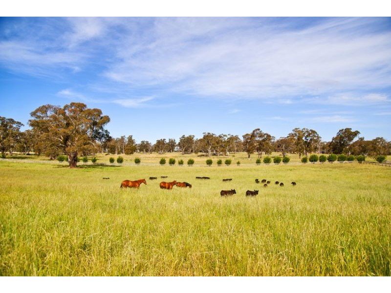 Eagle Park Stud’ 64 Bulls Lane, Springside via, Orange NSW 2800