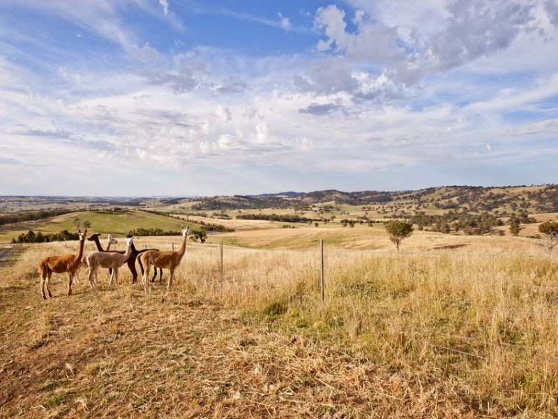 510 Kangaroobie Lane, Orange NSW 2800