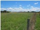 233 Forest Reefs Road, Millthorpe NSW 2798