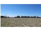 13 Chapman Street, Spring Hill NSW 2800