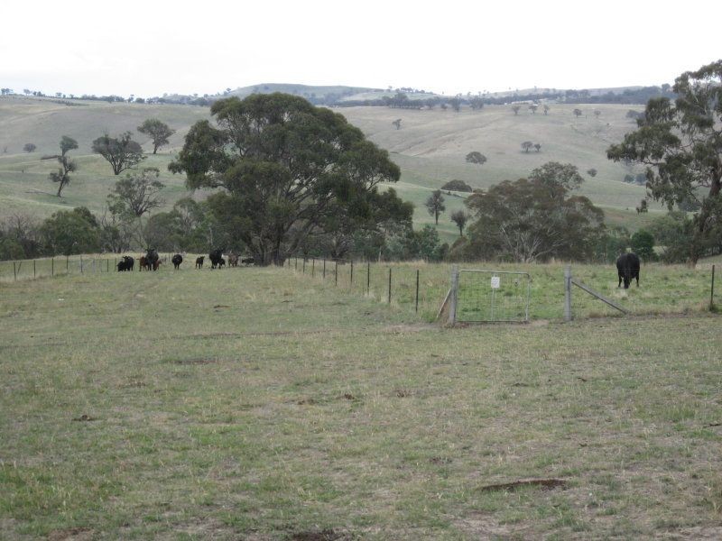1476 Carcoar Road, Blayney NSW 2799