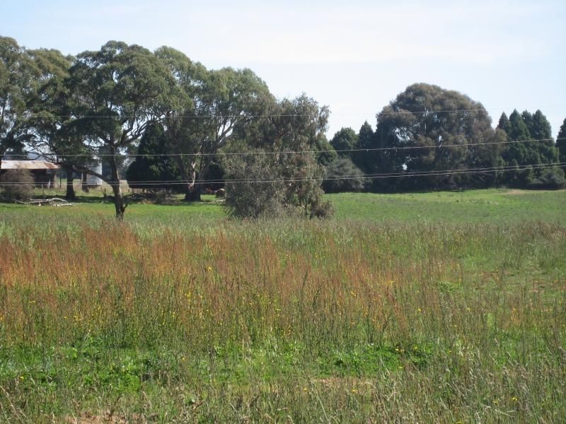 Richards Lane, Millthorpe NSW 2798