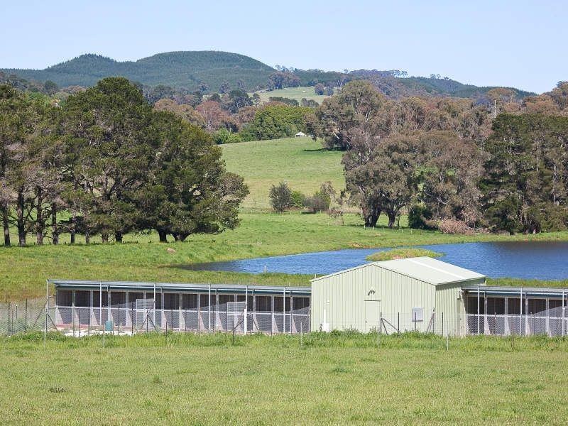 Kenso Park” Forest Road, Orange NSW 2800