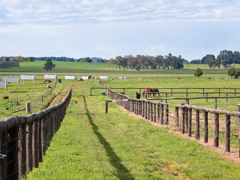 Kenso Park” Forest Road, Orange NSW 2800