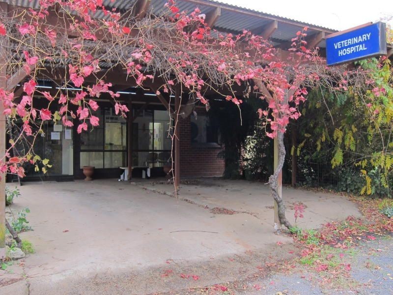 Kenso Park” Forest Road, Orange NSW 2800