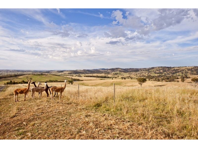 510 Kangaroobie Lane, Orange NSW 2800