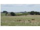 13 Coombing Lane, Barry, Blayney NSW 2799