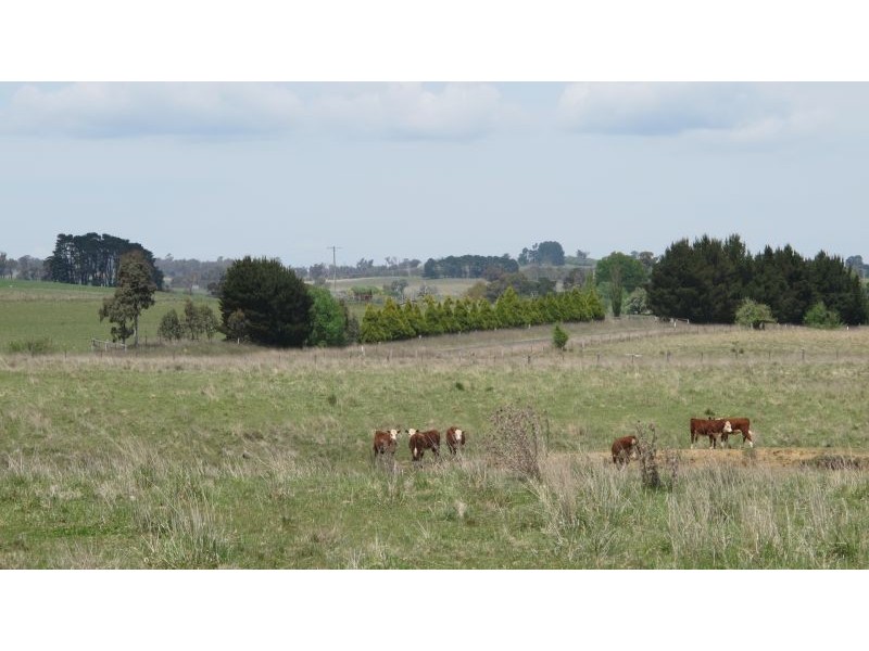 13 Coombing Lane, Barry, Blayney NSW 2799