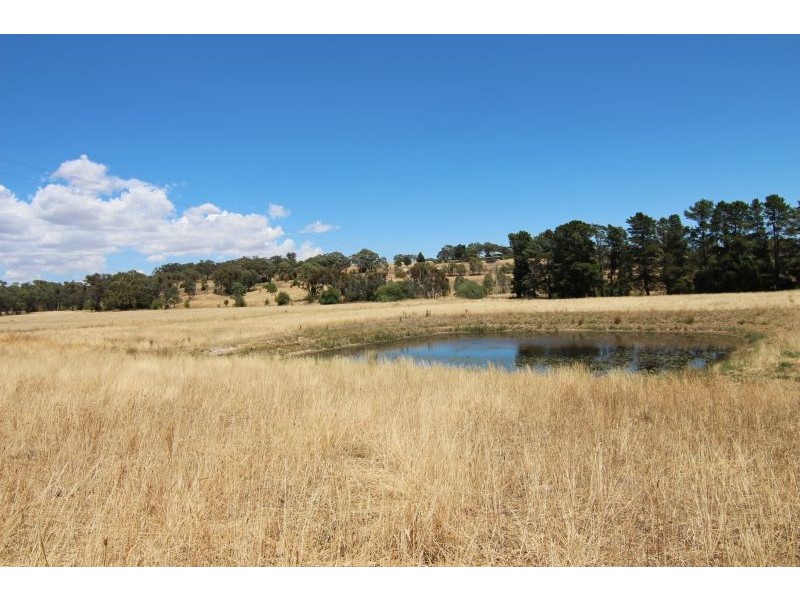 229 Convent Lane, Borenore NSW 2800