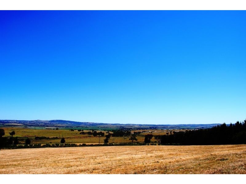 579 Mitchell Highway, Bathurst NSW 2795
