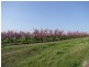 579 Mitchell Highway, Bathurst NSW 2795