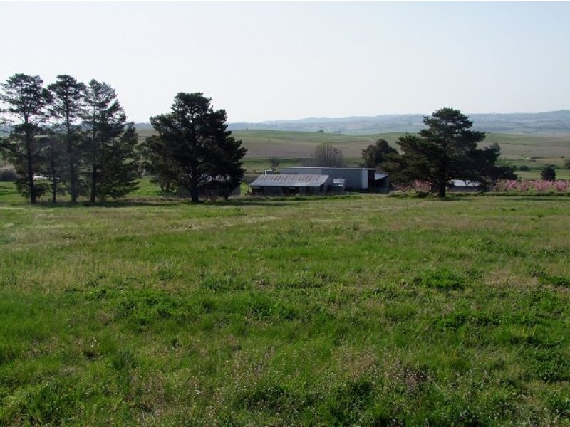 579 Mitchell Highway, Bathurst NSW 2795