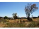 579 Mitchell Highway, Bathurst NSW 2795