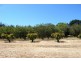 579 Mitchell Highway, Bathurst NSW 2795
