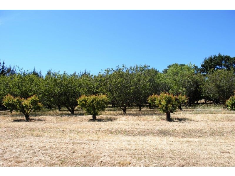 579 Mitchell Highway, Bathurst NSW 2795