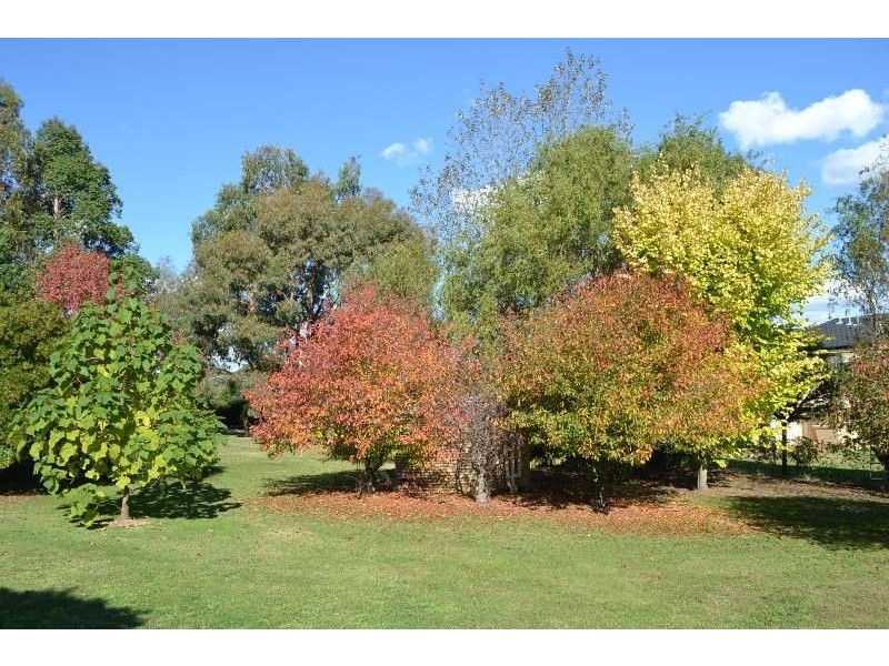 10 Illamatta Way, Orange NSW 2800