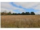 53 Ploughmans Lane, Orange NSW 2800